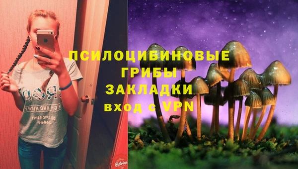 крисы Медвежьегорск