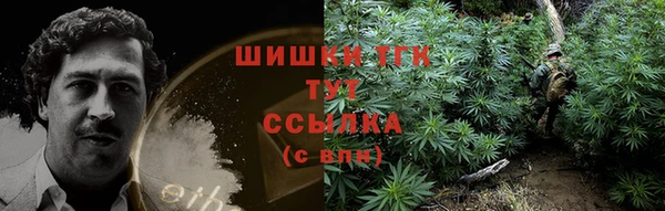 spice Магас