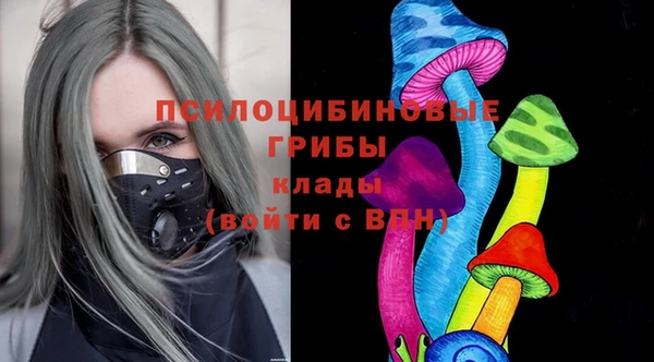 бошки Мегион