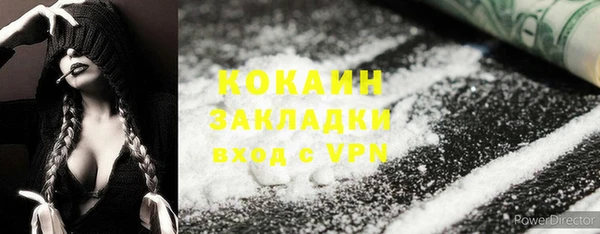 крисы Медвежьегорск